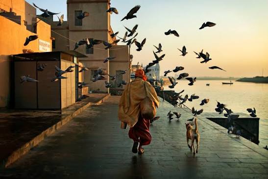 Incredible India - 11 years of photographic journeys: Gujarat, Rajasthan & The rabari nomadic shepherds — Mitchell Kanashkevich - Traditions, culture, travel photography