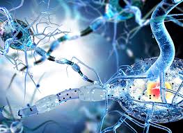 Medicul examinator va solicita, după caz, examen orl și neurologic. Scleroza MultiplÄƒ Ce Este Cauze Diagnostic Forme EvoluÈ›ie Tratament