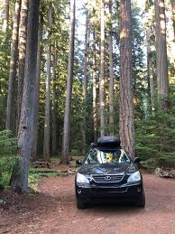 Image result for Black Forest 2007 RX