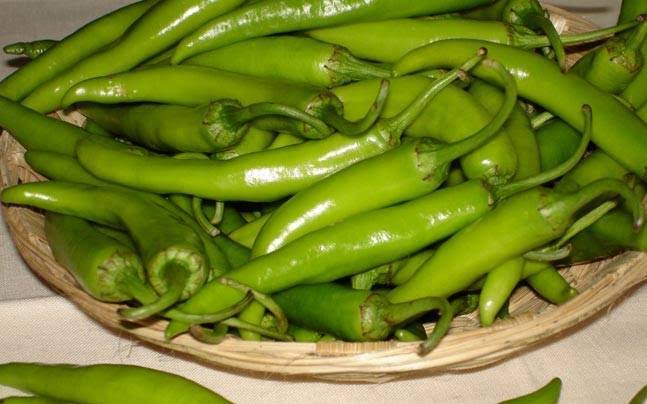 Image result for green chilli"