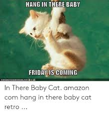 Please enter a number less than or equal to 1. Hang In There Baby Fridav Is Coming Icanhascheezeurgercom In There Baby Cat Amazon Com Hang In There Baby Cat Retro Amazon Meme On Me Me
