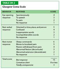 The Glasgow Coma Scale Gcs For First Aiders Glasgow Coma