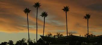 Image result for Sunset Orange 1971 Colt