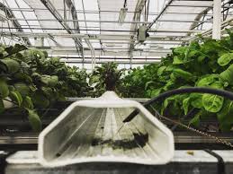 Our groclean channels are a proprietary design that has been optimized over 35+ years of research and redesign. Vertical Farming Ita On Twitter This Is How An Nft System Really Works Skyvegetables Hydroponics Urbanfarming Verticalfarming Verticalfarmingitalia Nycagtechweek Https T Co Qcvqmumy3n