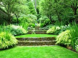 The Fresh Start Of Spring Brings Waves Of Green And With It Comes Attributes Of Youth Sentimentality Natu Landscape Design Sloped Garden Backyard Landscaping