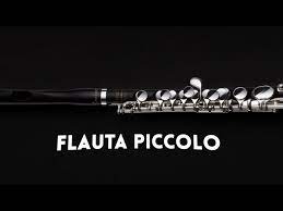 Pcc is available in a basic feature set for simple. La Flauta Piccolo Por Rafael Aponte Principal De Flauta De La Sinfonica Nacional Youtube