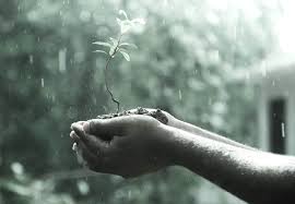 De historias e historietas