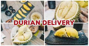 The d on the 2020 malaysia durian season each region is having a different peak season. 16 Durian Delivery Services Including A 24hr One To Fix Your Cravings