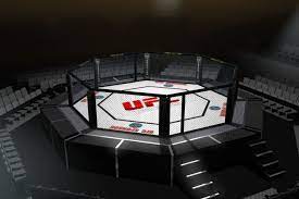 Promotér ondřej novotný probírá s davidem dvořákem probírá proběhlý turnaj ufc, ale i oktagon 24, který je už tento týden. Octagon Arena Im Ufc Stil 3d Modell Turbosquid 426750