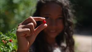 Reunity Resources Cultivating Community