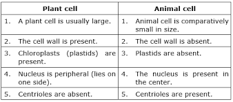 We did not find results for: Https Betrained In Karnataka Board 8 Science Part I Study Of Cells Solution