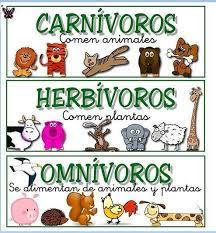 Pin En Naturaleza