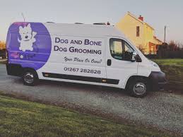 This service helps manage /prevent matting and dread locking (dirt and oil mixed with undercoat) and cleans up your dog's face, feet and sanitary area, after which we will clip your dog's coat to a style of your. Mobile Dog Grooming Service Dog And Bone Dog Grooming Services