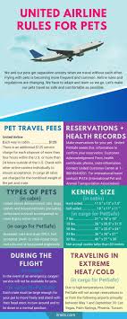 United Airline Rules For Traveling With Pets Pet Travel Pet Travel Accessories Flying With Pets