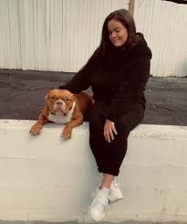 French bulldog & boston terrier. Ma Bullies American Bully French And English Bulldog Breeder Boston