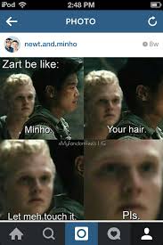 Zart Lol Maze Runner Funny Memes Humor