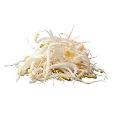 Image result for Vigna radiata