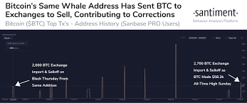 We used 1.000000 international currency exchange rate. Whale Who Sold Bitcoin Before 2020 Crash Cashed Out 156m Before This Week S 20 Dip
