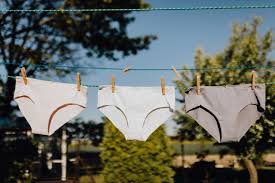 The brand makes clothing and intimates that are comfortable and practical. 16 Best Ethical Sustainable Underwear Brands Clothedup