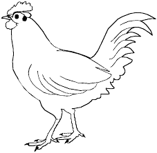 رسم حيوانات للتلوين Recherche Google Bird Coloring Pages Chicken Coloring Pages Chicken Coloring