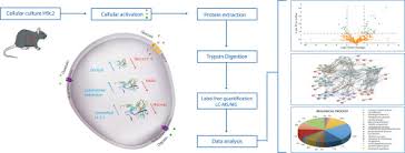 Quantitative Proteomic Analysis Reveals High Interference On