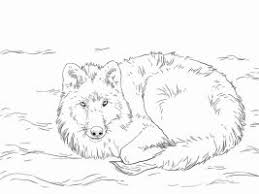 Wolves coloring pages for kids to print and color. Wolf Coloring Pages Coloring Pages For Kids And Adults
