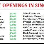 How To Get Jobs Easily In Singapore Usdjob Best Online Jobs Singapore Looking For A Job