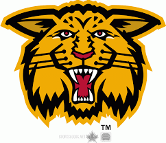 Find the perfect moncton wildcats stock photos and editorial news pictures from getty images. Moncton Wildcats Wild Cats Moncton Historical Items