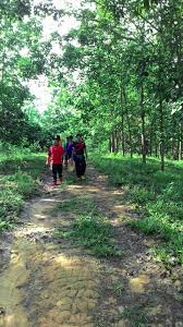 See more of jan's jungle trekking & hiking in malaysia. Semenyih Ecoventure Resort Recreation Jungle River Trekking