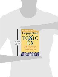 Even if you're not best friends with your ex, it's ok. Co Parenting With A Toxic Ex What To Do When Your Ex Spouse Tries To Turn The Kids Against You Amazon Co Uk Amy J L Baker Paul R Fine 9781608829583 Books