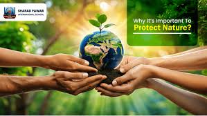 Protect Nature: 5 Reasons Why It Is Important