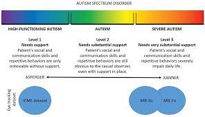 Application to autism spectrum disorder 1. Autistic Spectrum Disorders Adapted From 17 Download Scientific Diagram