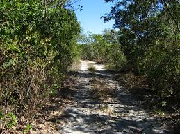 Key largo baptist church and upper sound point are also within 3 mi (5 km). Dagny Johnson Key Largo Hammock Botanical State Park 029