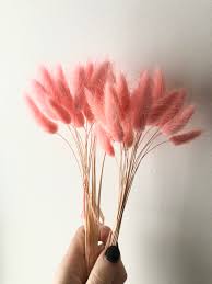 Don't worry we don't spam dried flowers for everyone shop now dried flower pods shop now new arrivals. Where To Buy On Trend Dried Flowers Melanie Lissack Interiors