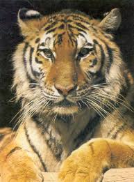 Aberdeen High School Alumni list