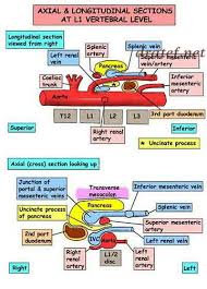 This set is often saved in the same folder as. Anatomy Anatomy And Physiology Anatomy Definition Anatomy Flickr