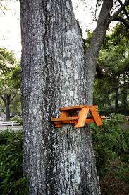 How To Make A Squirrel Picnic Table Free Pdf Plans In 2020 Picnic Table Diy Picnic Table Picnic Table Plans
