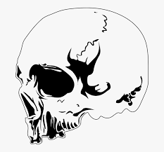Gambar tengkorak keren untuk wallpaper expo wallpaper sumber : Skull Design Tattoo Skeleton Death Dead Head Desain Kepala Tengkorak Hd Png Download Kindpng