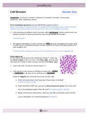 Biology dcn answers for lab diffusion and osmosis solution. Cell Division Gizmo Answer Key Pdf Cell Division Gizmo Answer Key Old Toulouse Fm Cell Division Gizmo Answer Key Download Pdf Cell Division Gizmo Course Hero