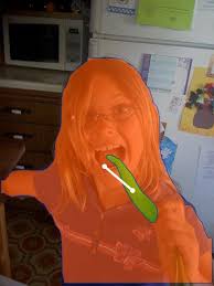 Cascaded Human-Object Interaction Recognition