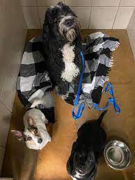 Find a provider at christus health plan. Friendship Pet Hospital And Wellness Center Home Facebook