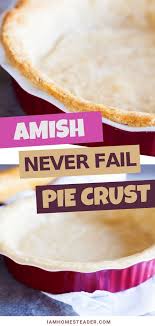 Amish Never Fail Pie Crust Food Processor Recipes Pie Crust Recipes Homemade Pie
