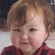 Who can recommend a good chiropractor in the South Bend, Mishawaka,  Osceola, Goshen, Bristol, Middlebury area for bulging disks, degenerative  disease, and arthritis?