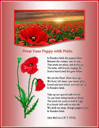 In her autobiography, entitled the miracle flower, she says she felt as. 7 Poppies Ideas Poppies Remembrance Day Anzac Day