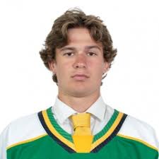 YOUNG, VAN GORP INVITED TO ROOKIE CAMP Mitch Young of the Sting and  Watford's Evan Van Gorp of the London Knights have both been invited to NHL  rookie camps this week. Young