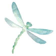 On the other hand, fireflies are usually associated with positive events in our life. Why The Dragonfly Eolcca
