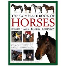 21 Gifts For Horse Lovers And Equestrians All Gifts Considered Horse Breeds Horse Books Horses