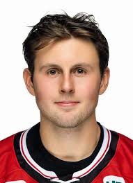 Player photos for the 2018-19 Jamestown Rebels at hockeydb.com