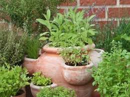 We found these diy indoor herb garden ideas and projects that are just a cut above the usual terra cotta pots. Herb Garden Basics Growing Herbs Indoors Outdoors Garden Design