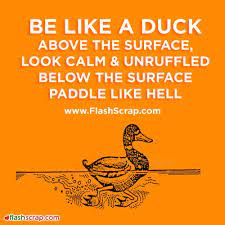 Pin On Words Of Wisdom